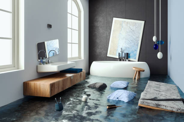Best Local water damage restoration  in Beardstown, IL