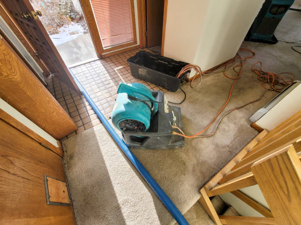 Best Flood restoration services  in Beardstown, IL
