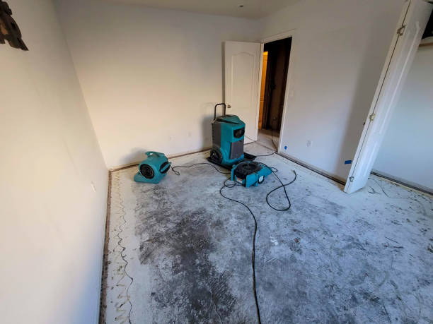 Best Water damage restoration near me  in Beardstown, IL