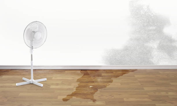 Best Flooded house restoration  in Beardstown, IL