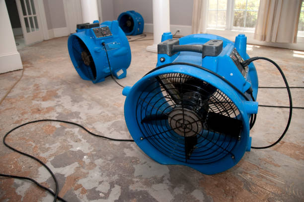 Best Water damage cleanup near me  in Beardstown, IL
