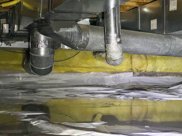 Best Mold removal after water damage  in Beardstown, IL