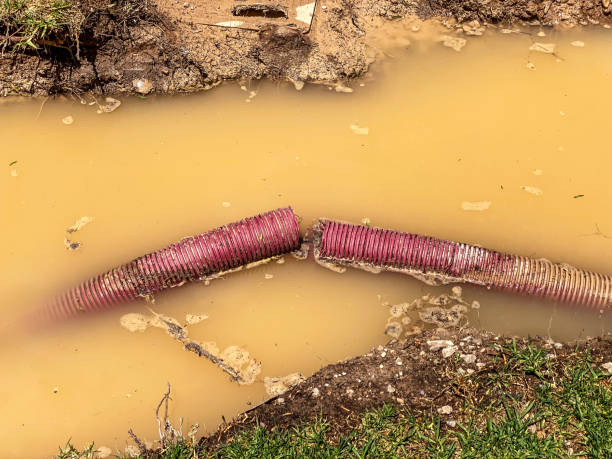 Professional Water damage restoration in Beardstown, IL