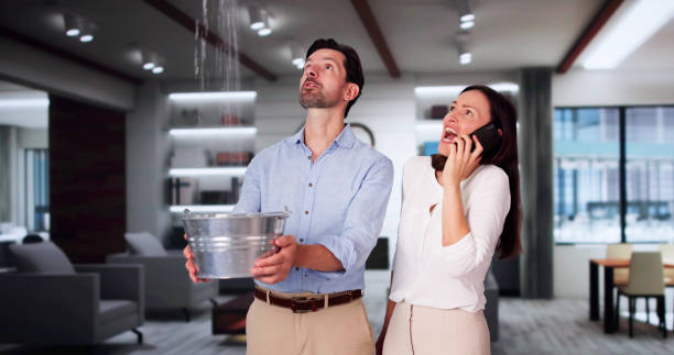Best Ceiling water damage repair  in Beardstown, IL