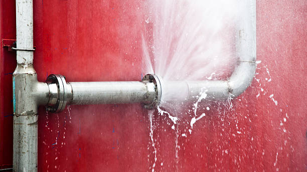 Best 24-hour water damage restoration  in Beardstown, IL